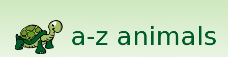 Animals A-Z  